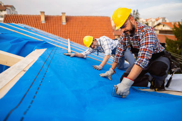 Best Roof Maintenance and Cleaning  in Ponchatou, LA